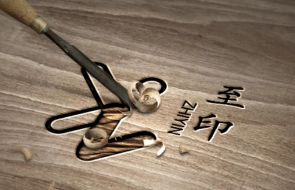 Zhizheng officially launched 